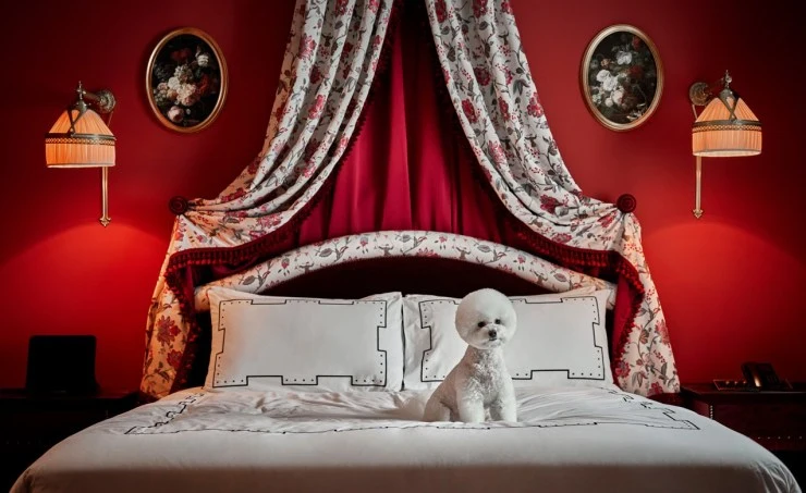 l2-1.jpg?resize740%2C453ssl1