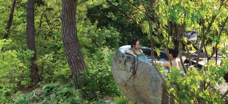 fspa2.jpg?resize740%2C340amp;ssl1