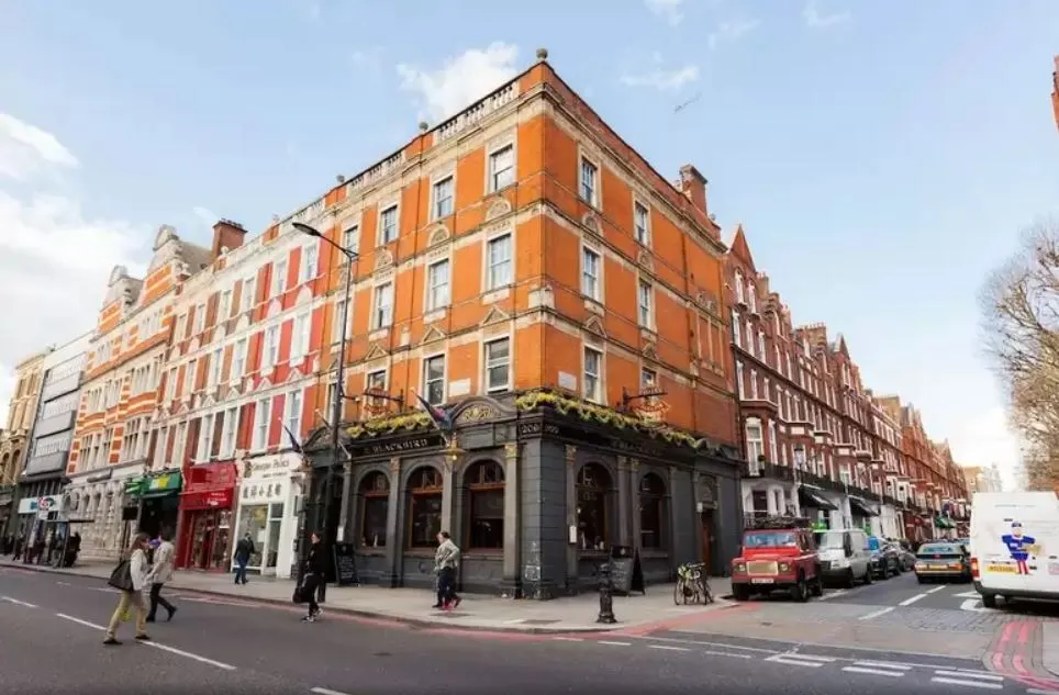 블랙버드 (1).JPG