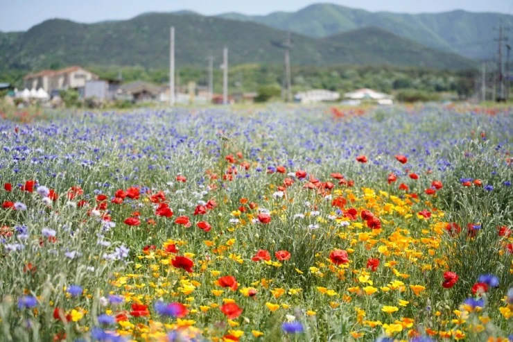 mmmmm.jpg?resize740%2C493ssl1