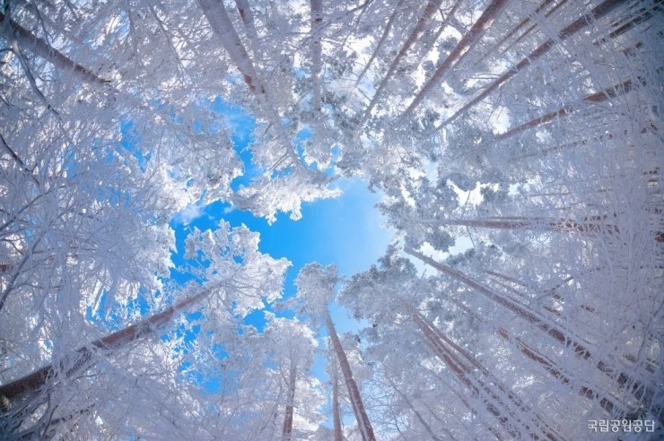 halla2.jpg?resize=740%2C492&ssl=1