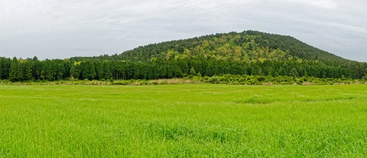 20170816004100481_N6PFJ7F9.jpeg?resize740%2C319amp;ssl1