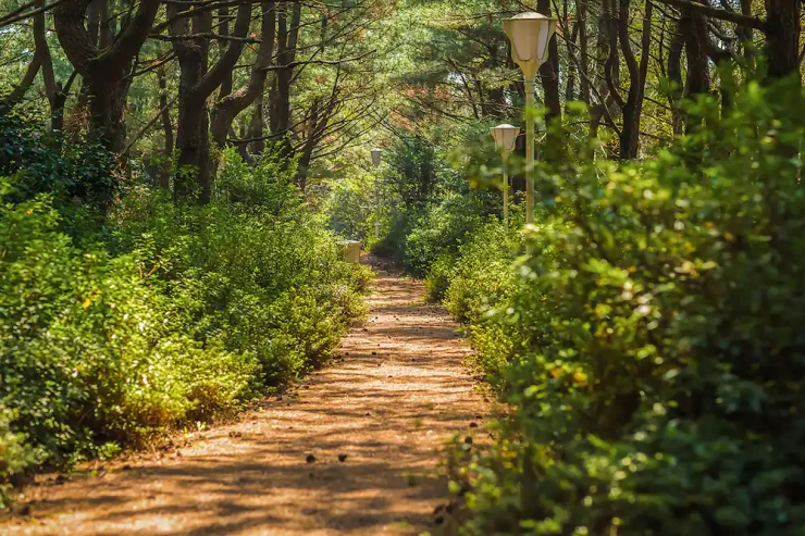 ca-14.png?resize740%2C493amp;ssl1