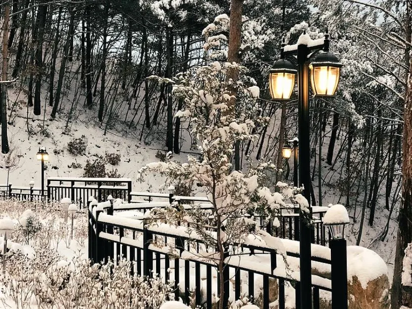 인제 별들의 기침 (4).JPG