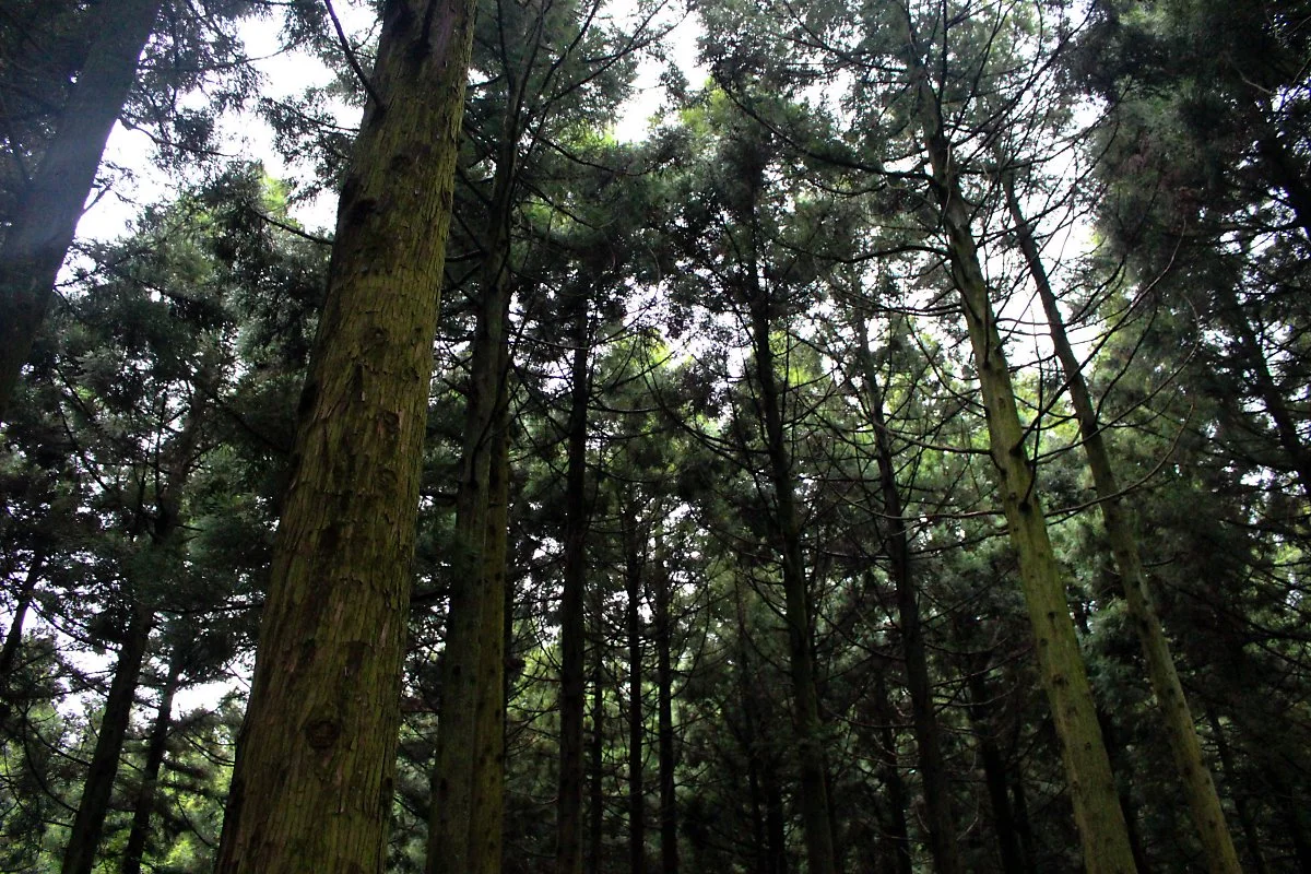 IMG_5058.jpg?type=w1200