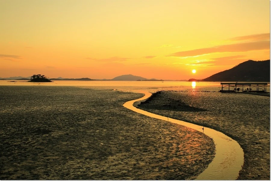 순천,와온해변_(14).jfif