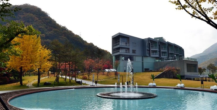 afa-2.jpg?resize740%2C377ssl1