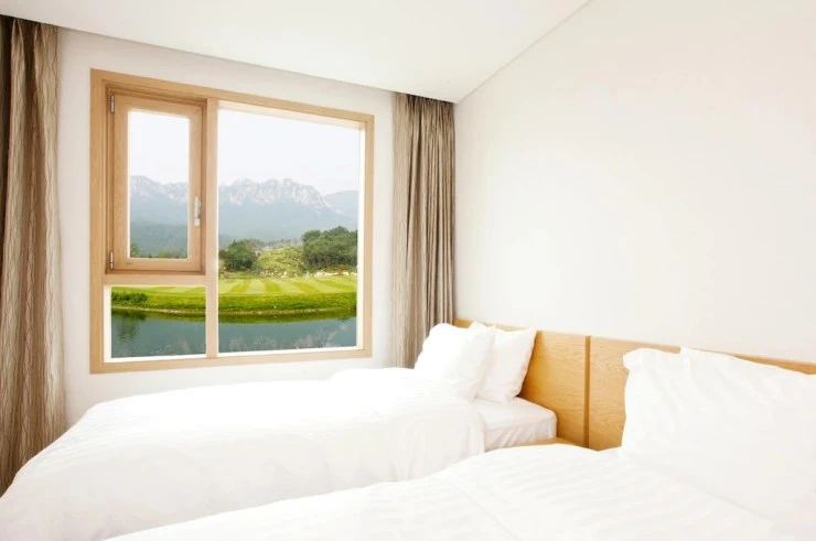 d2.jpg?resize740%2C491