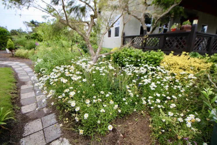 o-exxx-scaled.jpg?fit740%2C494ssl1