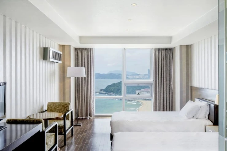 %EC%BD%94%EC%98%A4%EB%A1%B1-%EC%94%A8%ED%81%B4%EB%9D%BC%EC%9A%B0%EB%93%9C-%ED%98%B8%ED%85%942.webp?resize740%2C494amp;ssl1