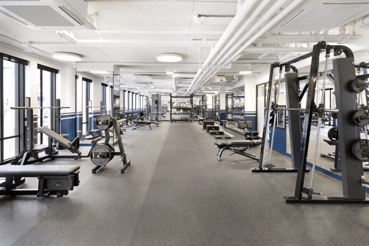 ae-14.png?resize740%2C493amp;ssl1