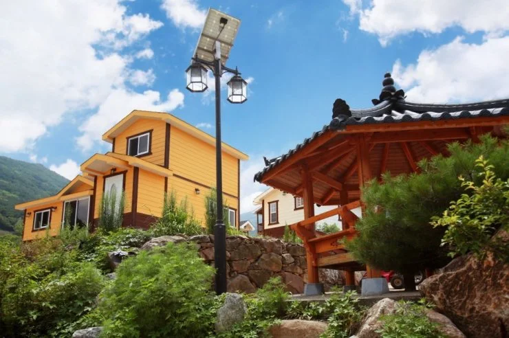 py-wild-1.jpg?w=740&ssl=1