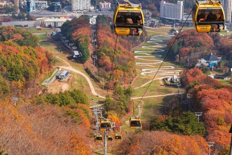 p-cable-1024x683.jpg?resize=740%2C494&amp;ssl=1