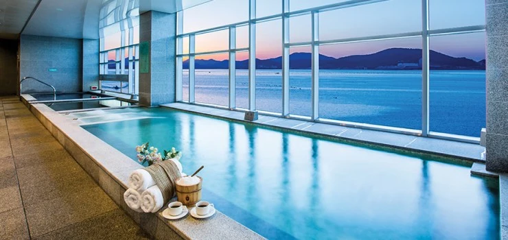 h-sauna.jpg?resize740%2C350amp;ssl1