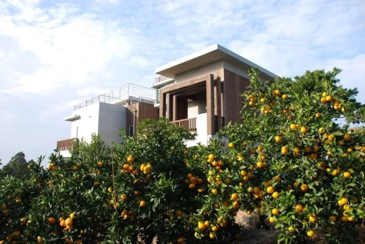 e-garden-1024x687.jpg?resize740%2C496amp;ssl1