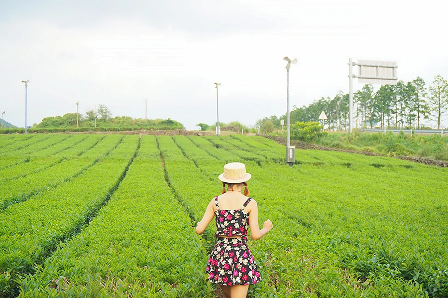 오설록 (2).JPG