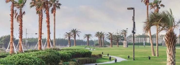 1-7-1024x372.jpg?resize=740%2C269&amp;ssl=1