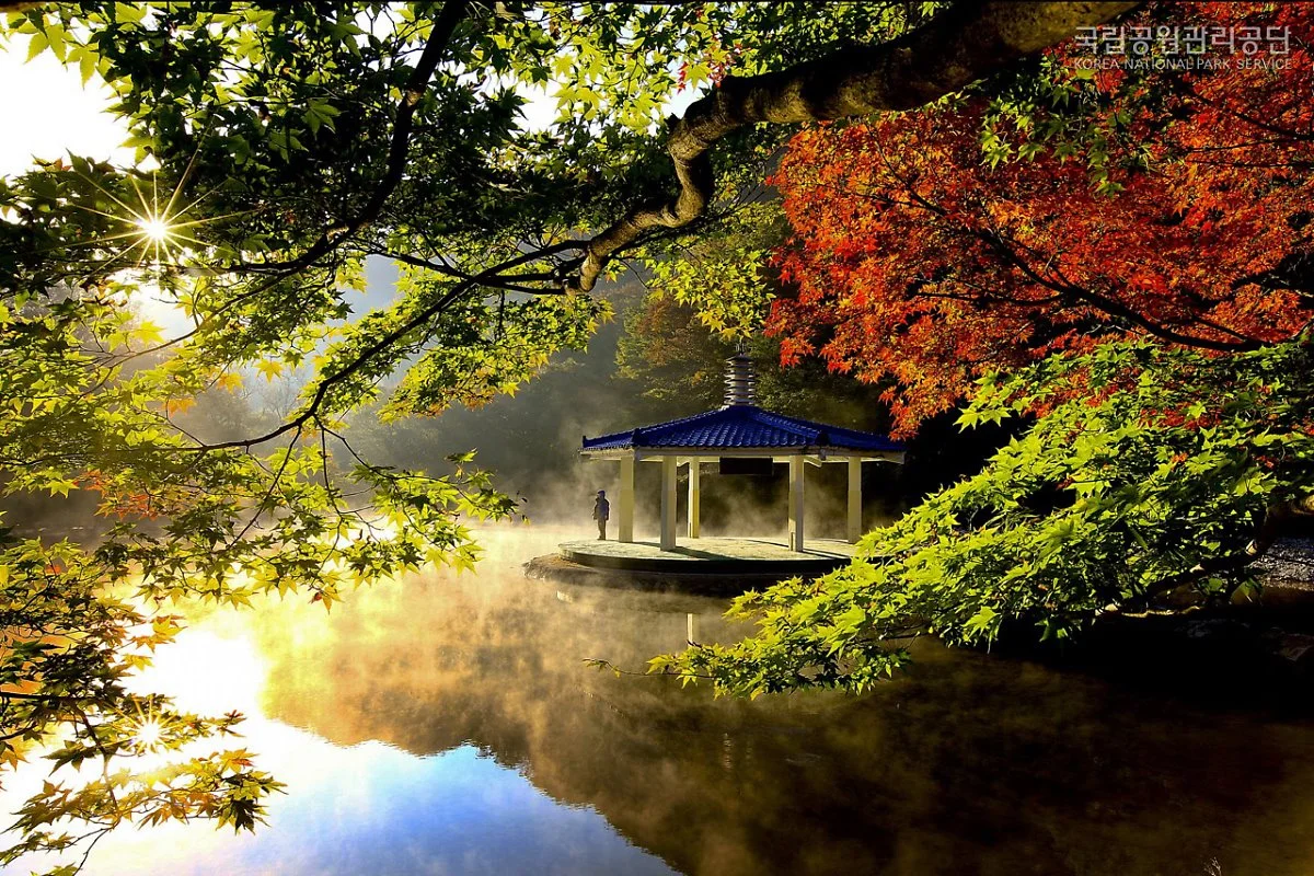 11017_%EB%82%B4%EC%9E%A5%EC%82%B0_%EC%9A%B0%ED%99%94%EC%A0%95_%EA%B9%80%EC%84%9D%EC%B2%A0.jpg?type=w1200