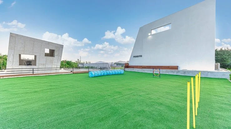 p4.jpg?resize740%2C416amp;ssl1