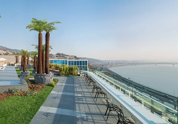 pic_skyard0202.jpeg?resize570%2C400amp;ssl1