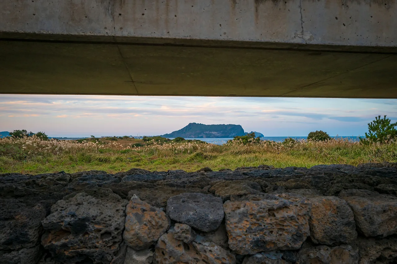 photo-1731330078073-42098dcfb1b3?ixlib=rb-4.1.0&ixid=M3wxMjA3fDB8MHxwaG90by1wYWdlfHx8fGVufDB8fHx8fA%3D%3D&fm=jpg&q=60&w=3000