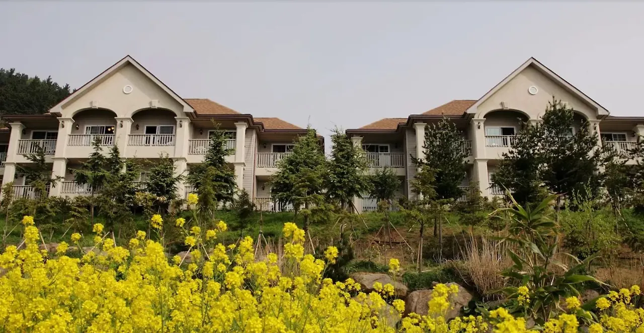 울릉 대아리조트 (2).JPG