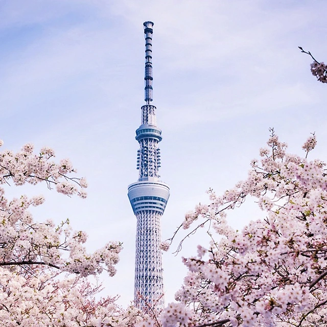 04 스미다 공원.jpeg