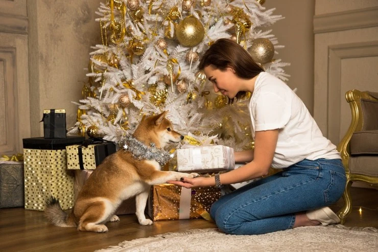 pet-main.jpg?resize=740%2C493&ssl=1