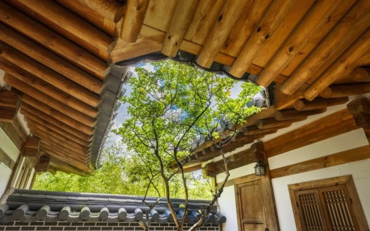 dde.jpg?resize=740%2C463&ssl=1