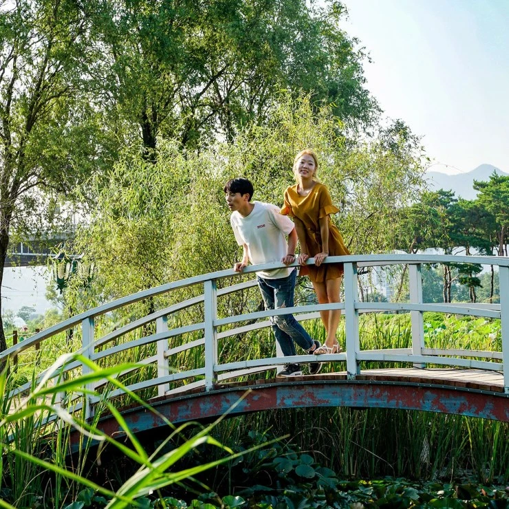 se.jpg?resize=740%2C740&ssl=1