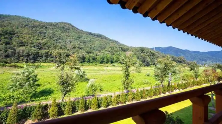 cc46ae2f9706b905606d46b9af05029f.jpg?resize740%2C416amp;ssl1