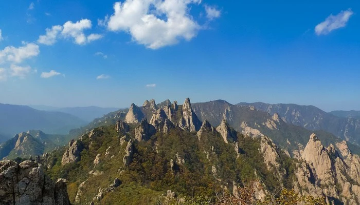 d-rock.jpg?w=740&ssl=1