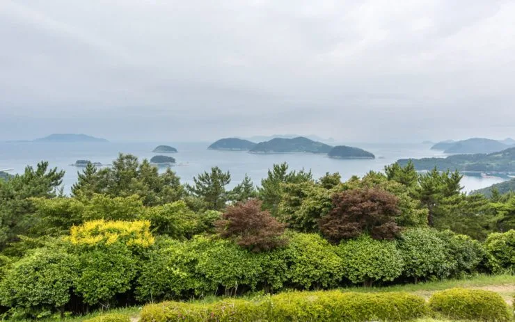 dal-1024x640.jpg?resize740%2C463amp;ssl1