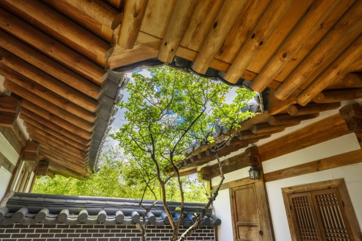 ce-3.png?resize740%2C493amp;ssl1