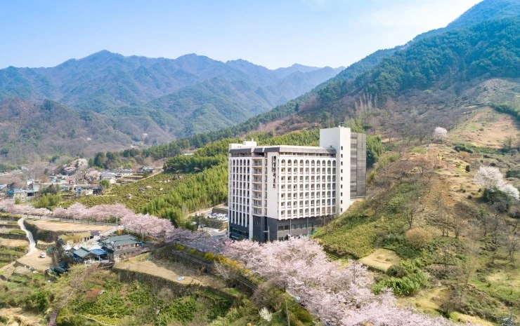 k-1.jpg?resize740%2C465amp;ssl1