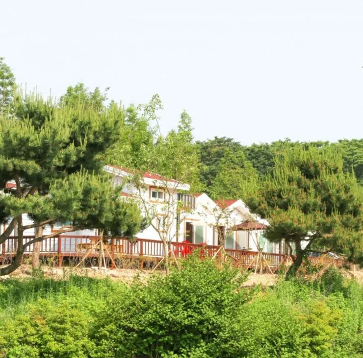 mosaBJMmu9-2-1024x1012.jpeg?resize740%2C731amp;ssl1