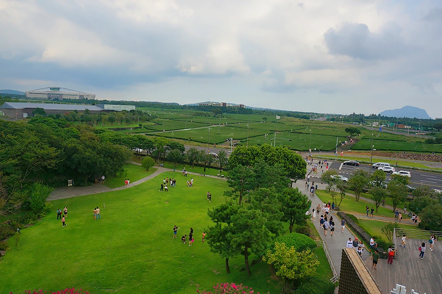 오설록 (1).JPG