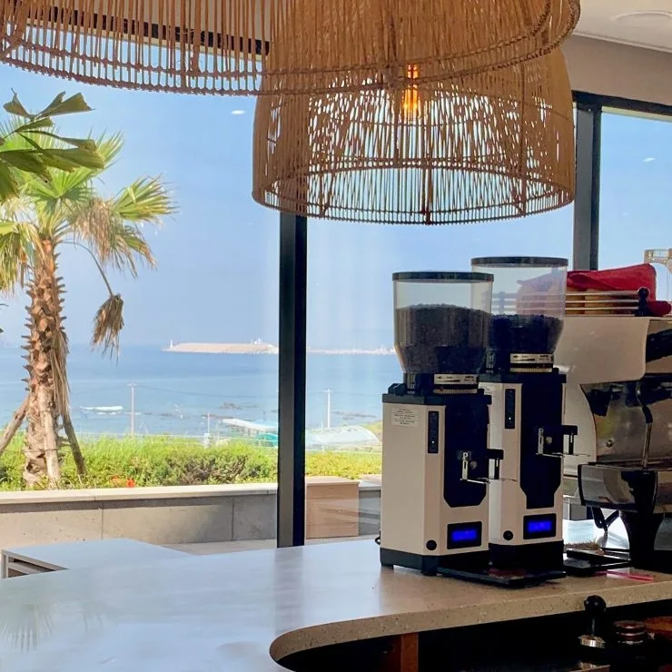 s-bff-1.jpg?fit=740%2C740&ssl=1