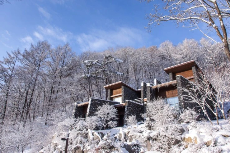 r-ex.jpg?w=740&ssl=1