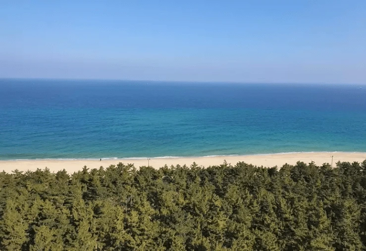 afb-1.png?w=740&ssl=1