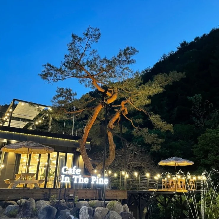 %E1%84%83%E1%85%A1%E1%84%8B%E1%85%AE%E1%86%AB%E1%84%85%E1%85%A9%E1%84%83%E1%85%B3-2022-05-16T212645.477.jpeg?resize740%2C740ssl1