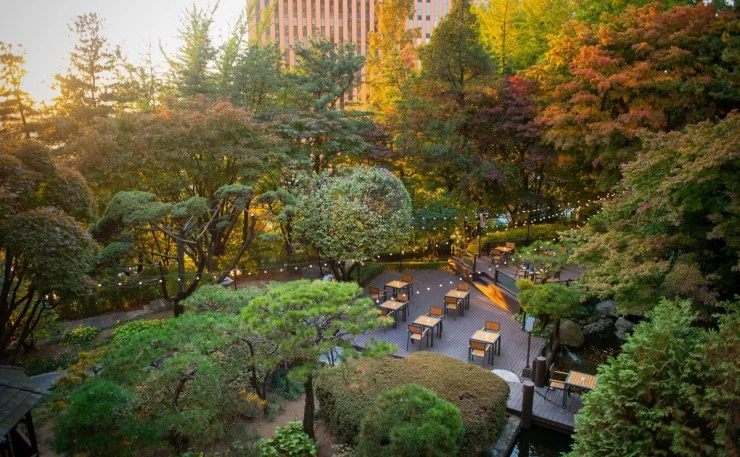 afb.jpg?resize=740%2C457&ssl=1