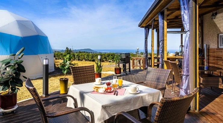 ada-1.jpg?w=740&ssl=1