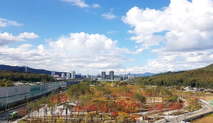 cfff.jpg?resize=740%2C426&ssl=1