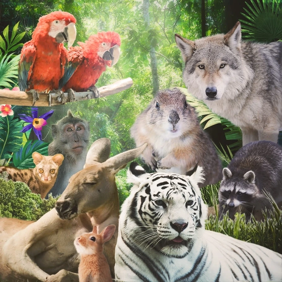 덴바스타 테마 키즈호텔_18.JPG