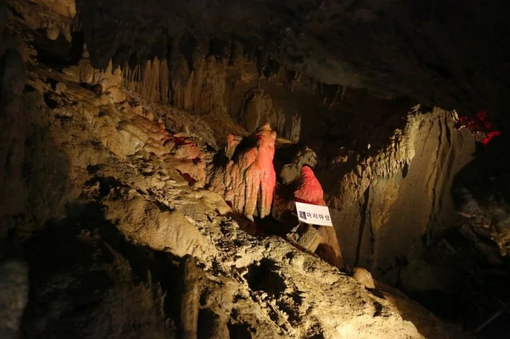 cheon.jpg?w740amp;ssl1