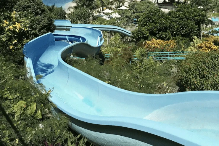 ee.png?resize740%2C493ssl1