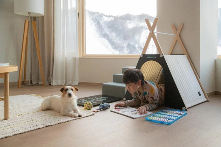 pet.jpg?resize=740%2C494&amp;ssl=1