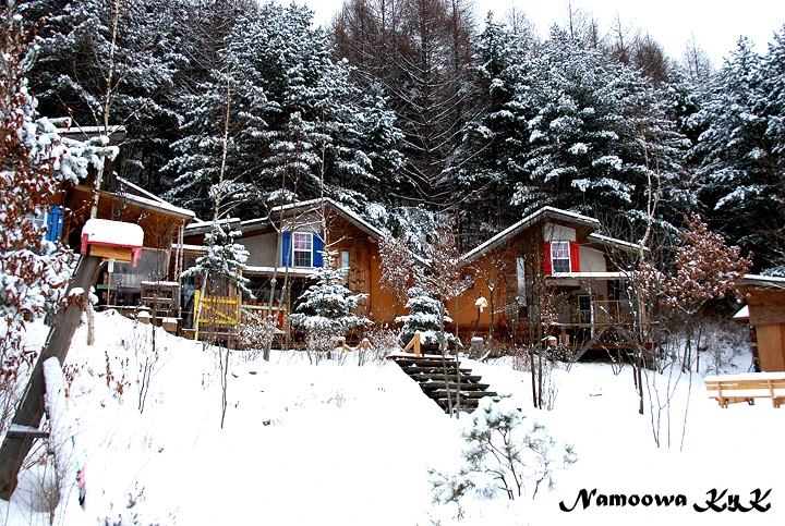 DSC_2709.jpg1200590974