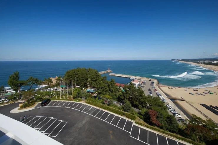 2347532_17061409410053668716-edited.webp?resize=740%2C494&amp;ssl=1